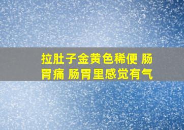 拉肚子金黄色稀便 肠胃痛 肠胃里感觉有气